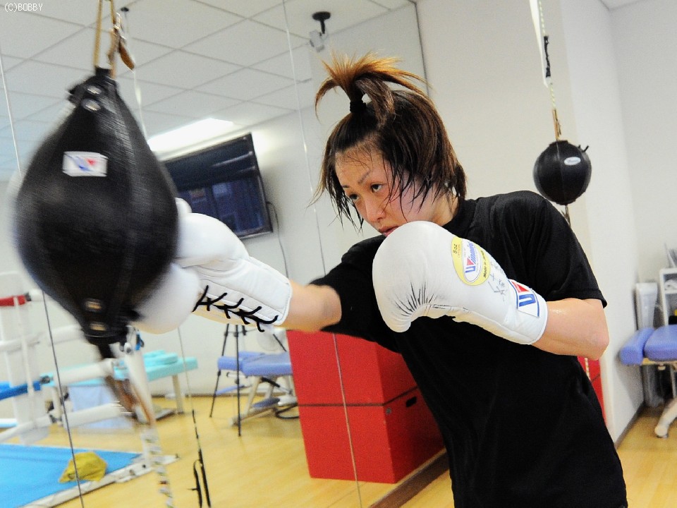 �{���̌��J���K