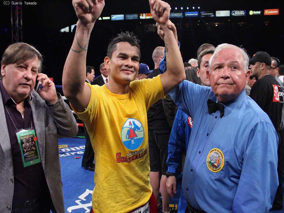 �u�u���[�i�[��|���v�}�C�_�i