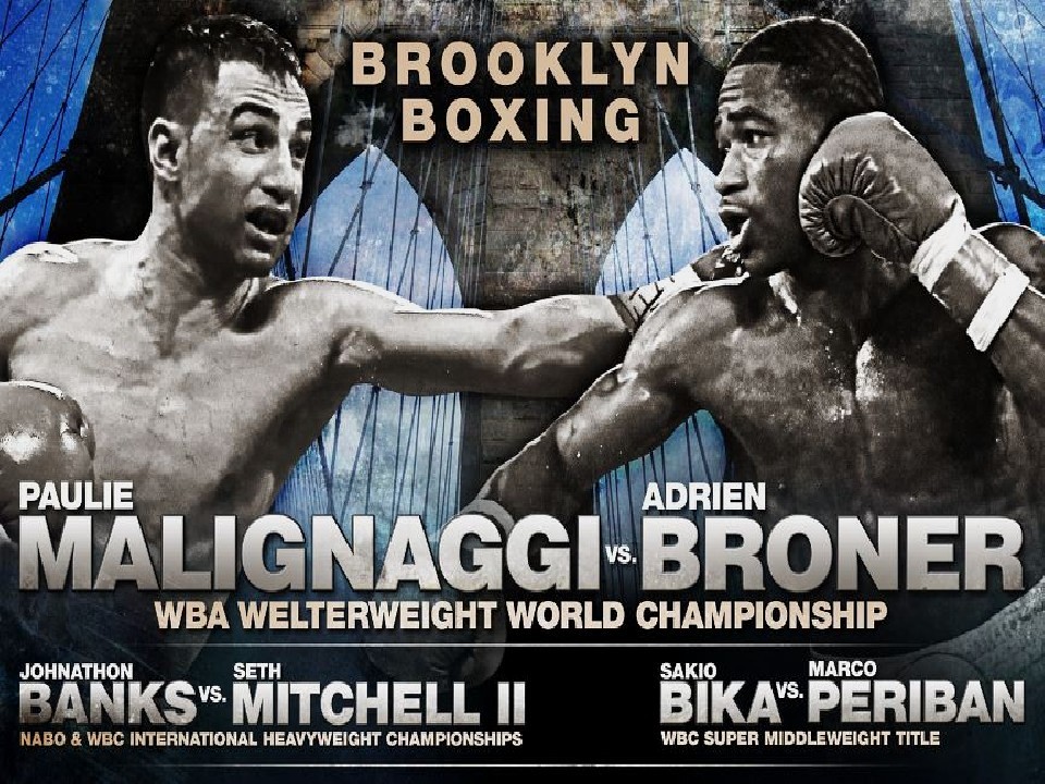 �u���[�i�[�A��X�̎�����