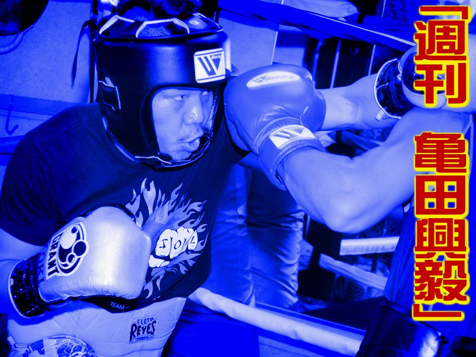 �u�T�� �T�c���B�v