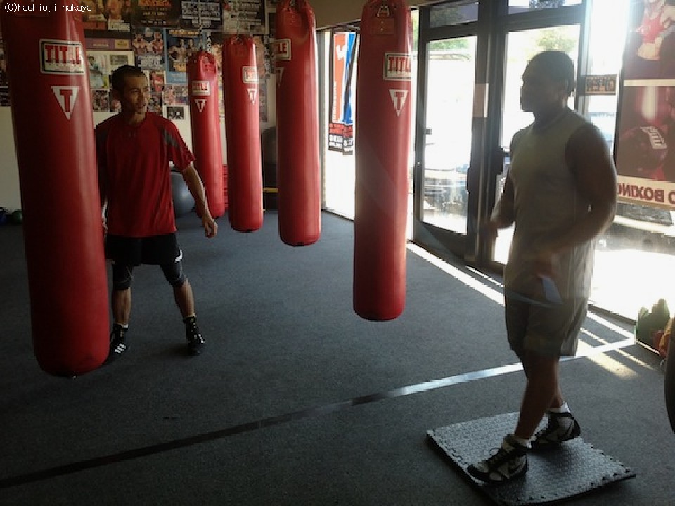 �r�삪LV�ŗ��K