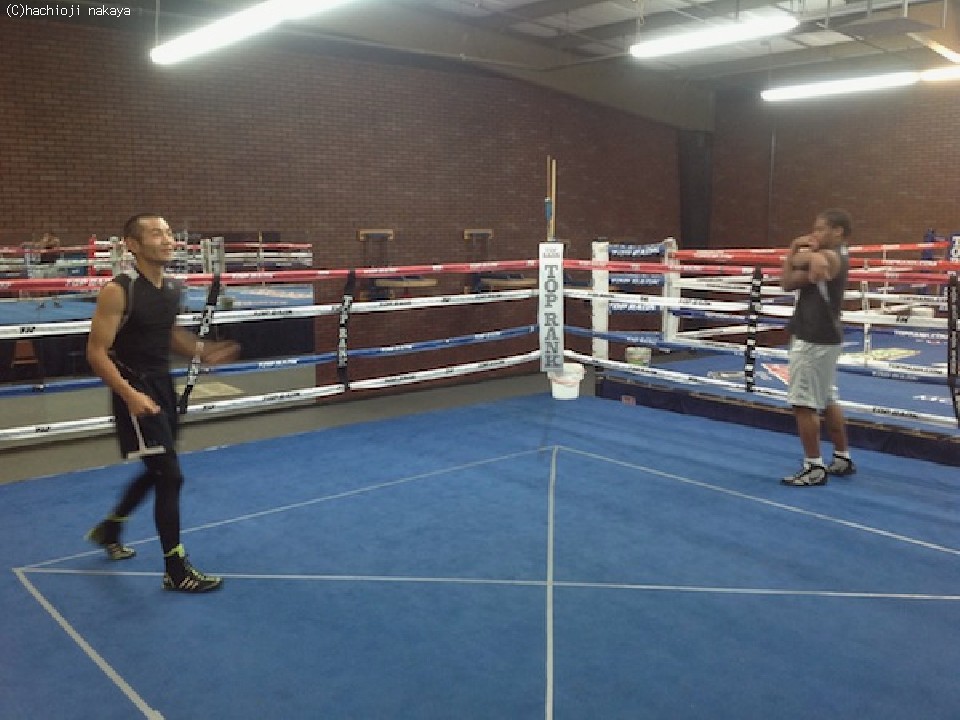 �r��A�H�ׂȂ��猸��