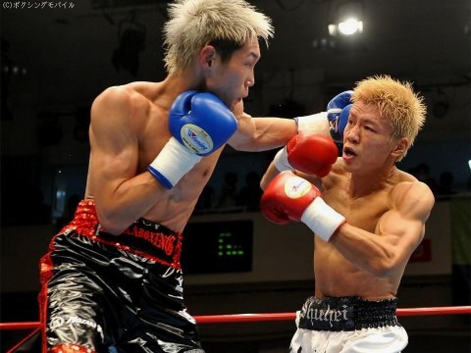 �D�J�[�h�A��������