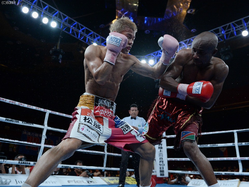 �a�B�Z�u���̉�