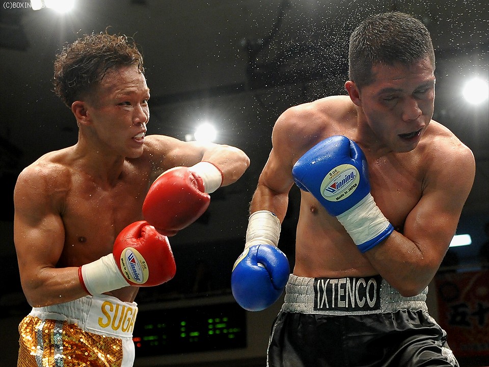 下田の左が捉える