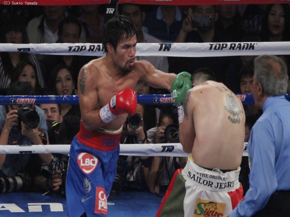 �p�b�L���IVS���I�X