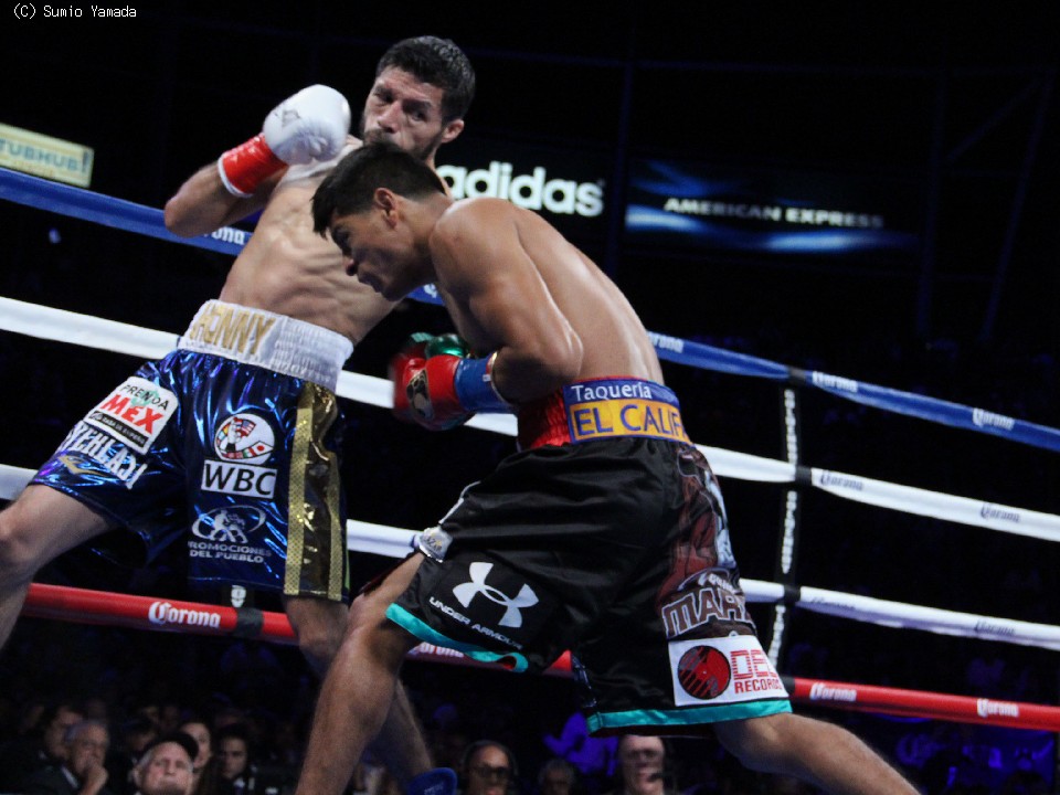 2/15 �W���j�S��VS�}���X�U