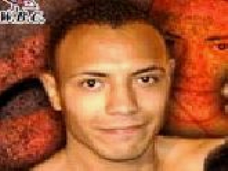 �n���h�������M�̕�