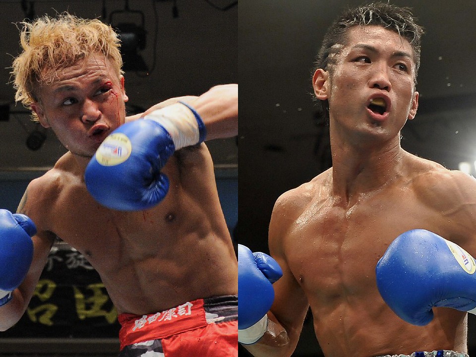 ���cvs���쌴