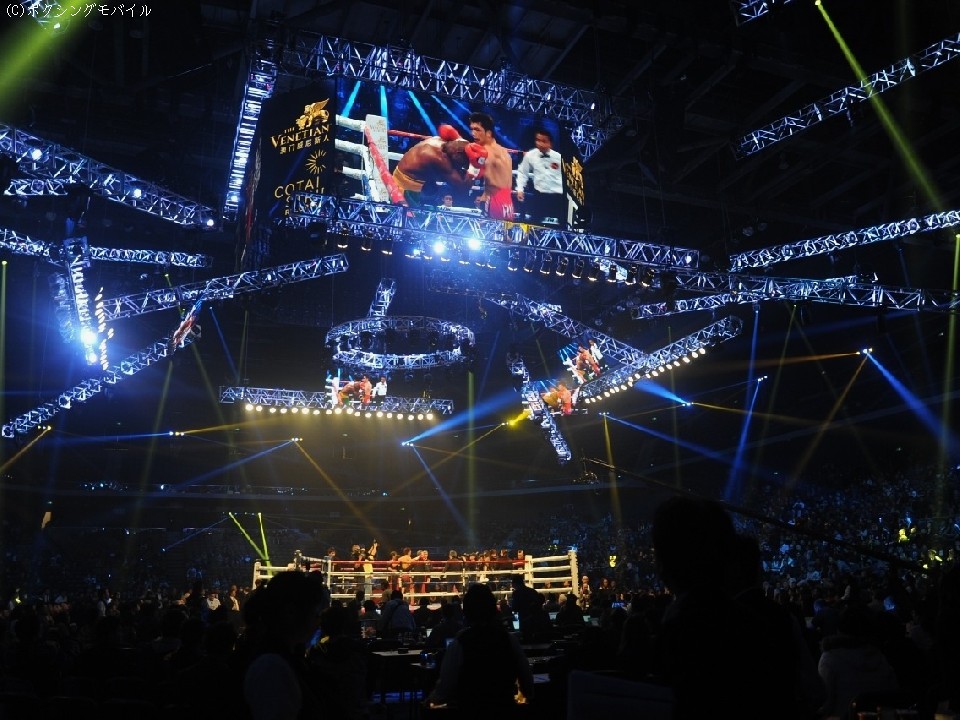 ���c�ȑ�in�}�J�I