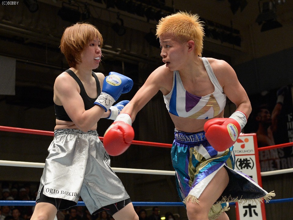 ��ʂ�OPBF�EMF��������