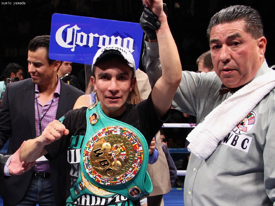 �A�h���A��•�G���i���f�X