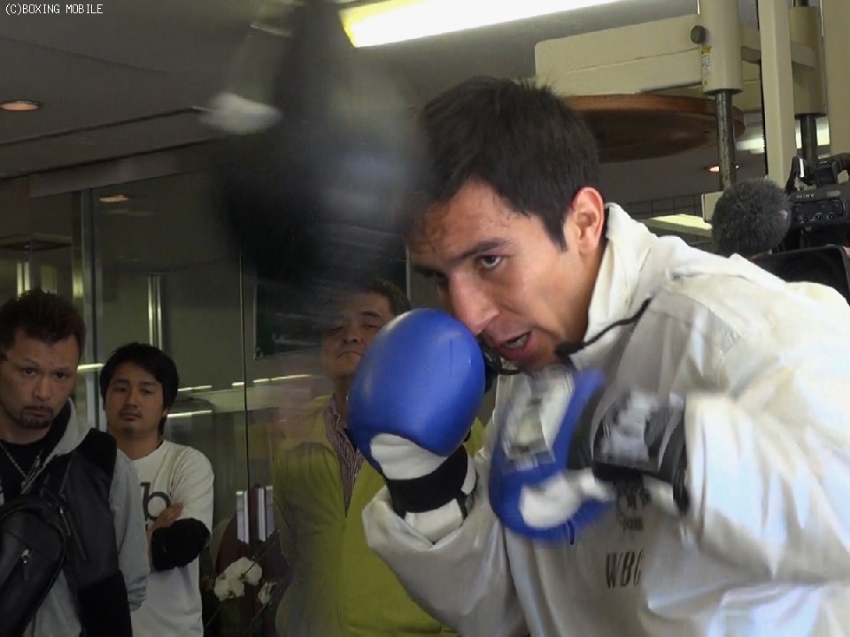 �A�h���A���E�G���i���f�X