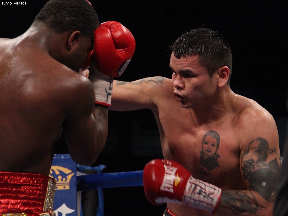 �}�C�_�i��KO�錾