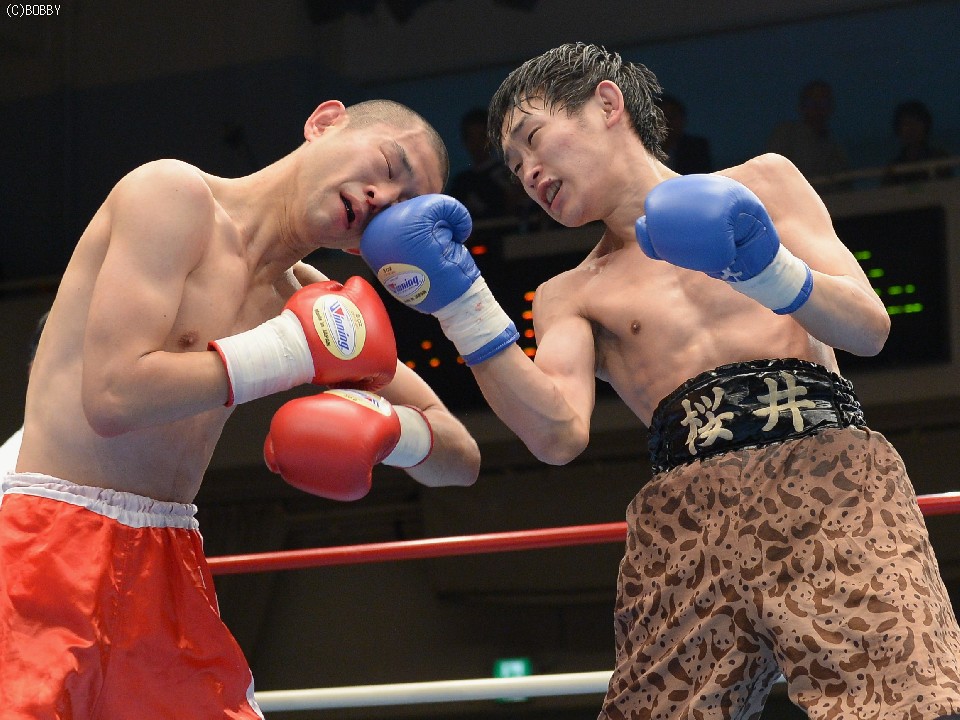 ��ꎎ���ɂ��h���}��