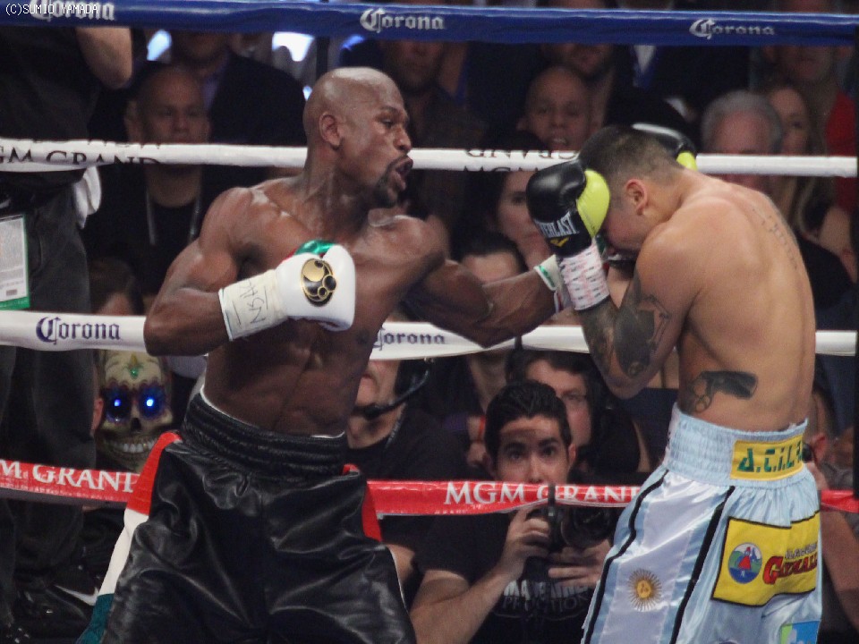 ��:���C�E�F�U�[�@�E:�}�C�_�i