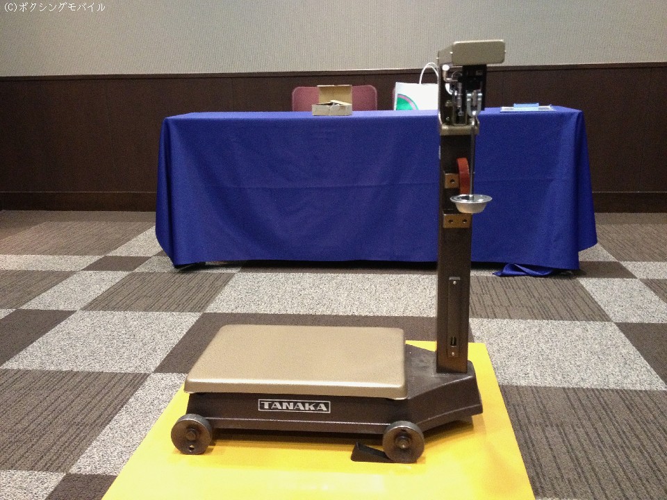 ���{�l�͈ꔭ�N���A