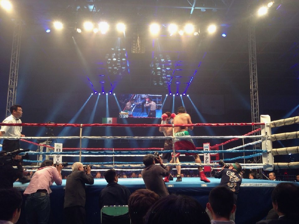 ���c�̃v��4��ځ\