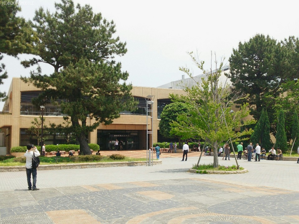 ���q�A�ċN�̃����O��!?