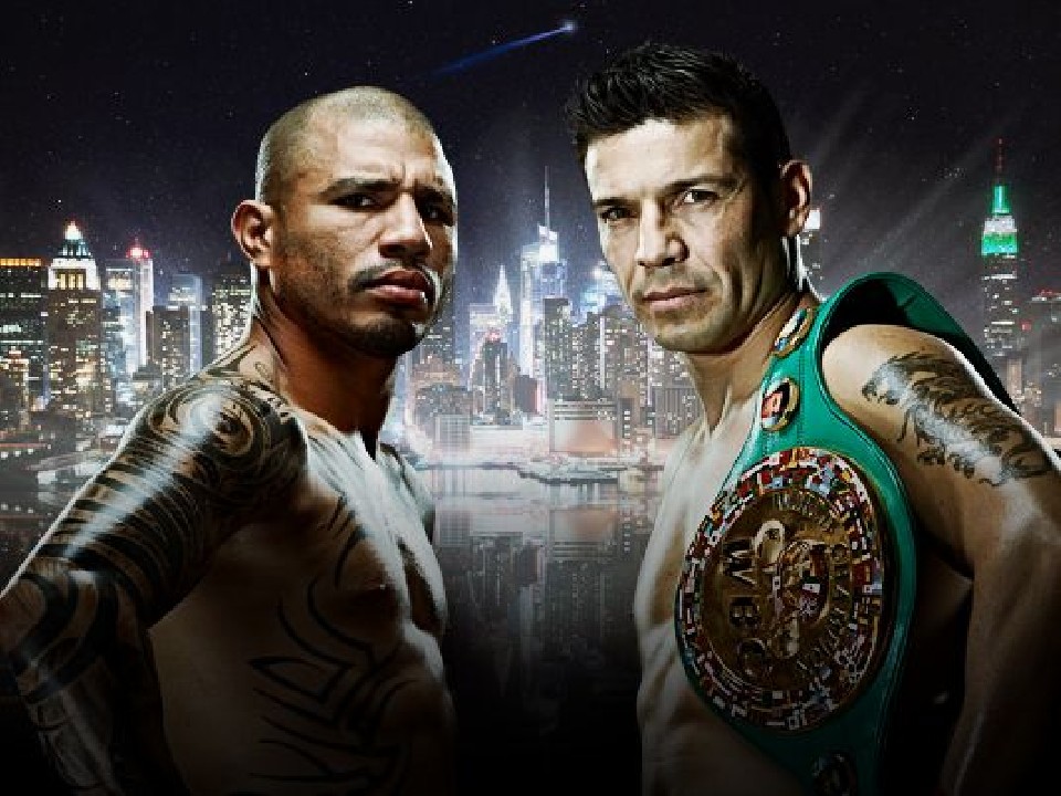 �}���`�l�XVS�R�b�g