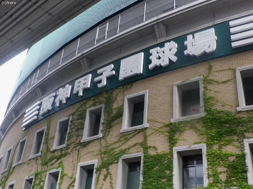 ��_�b�q������