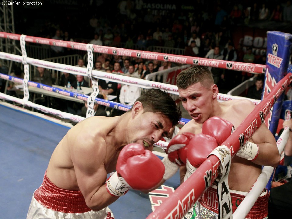 ���h���Q�X(�E)