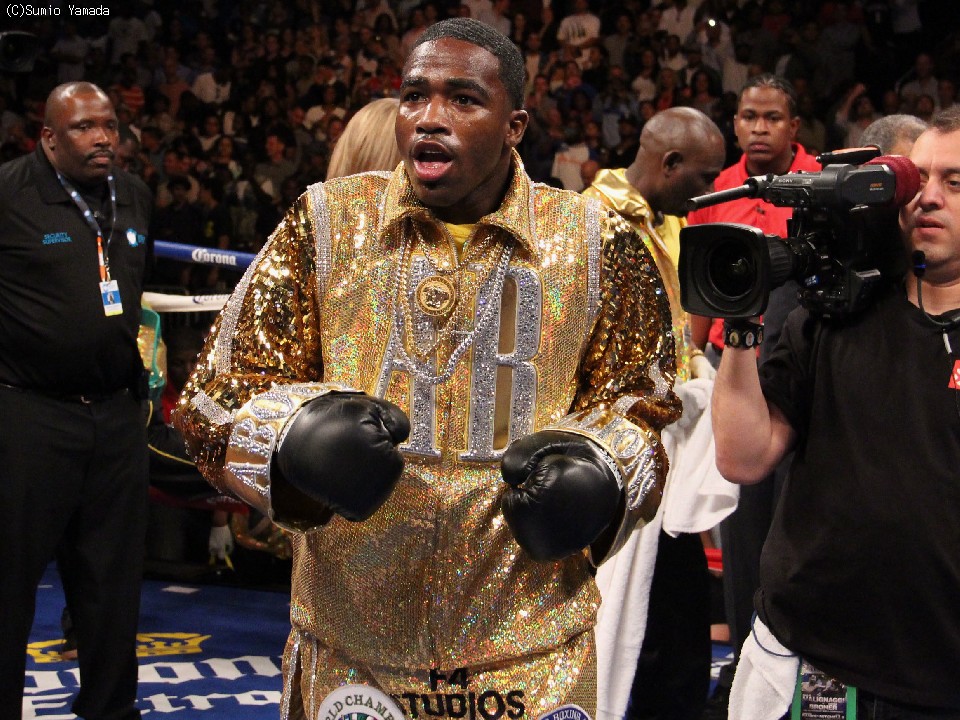 �G�C�h���A��•�u���[�i�[