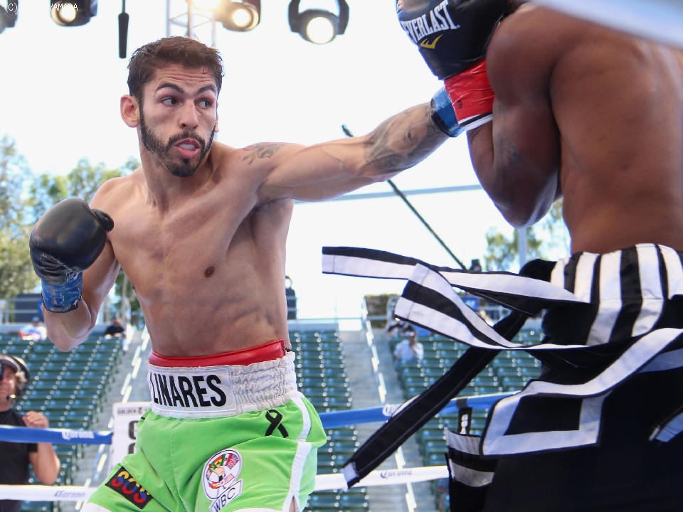 ���i���Xvs�e���[