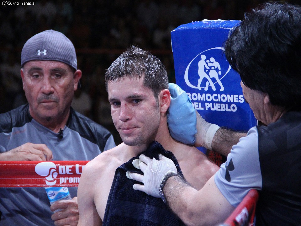 WBC��SF����