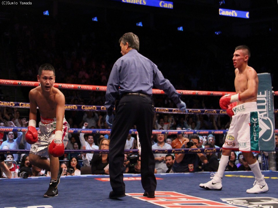 8/10 ���������@���q�R