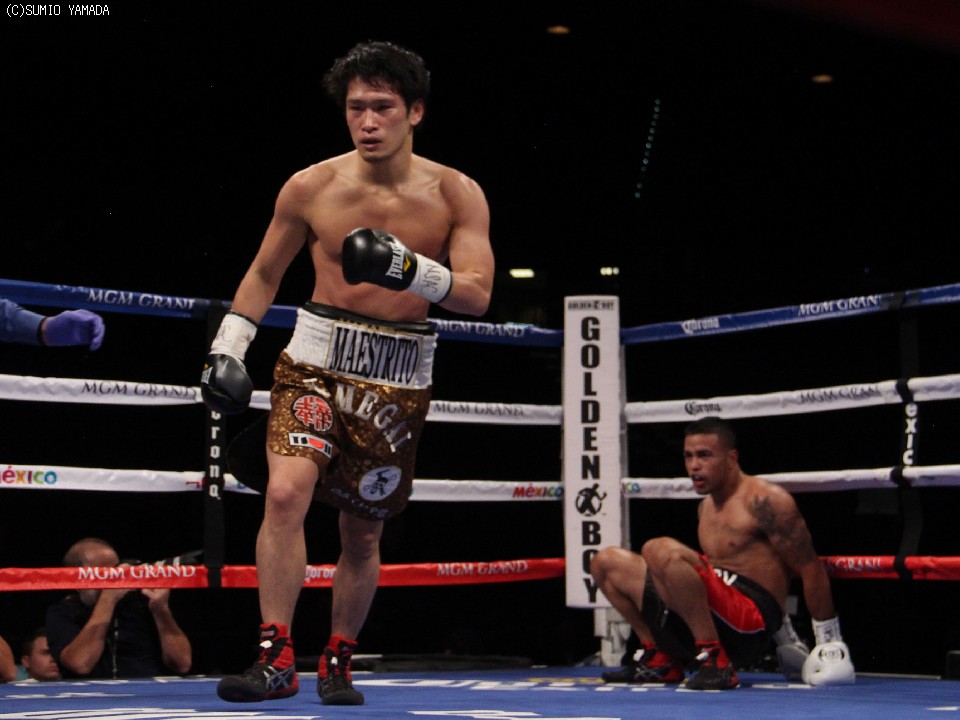 3�x�̃_�E����D�����T�C