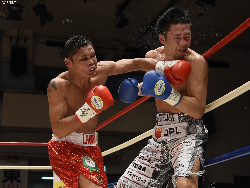 �����OPBF����