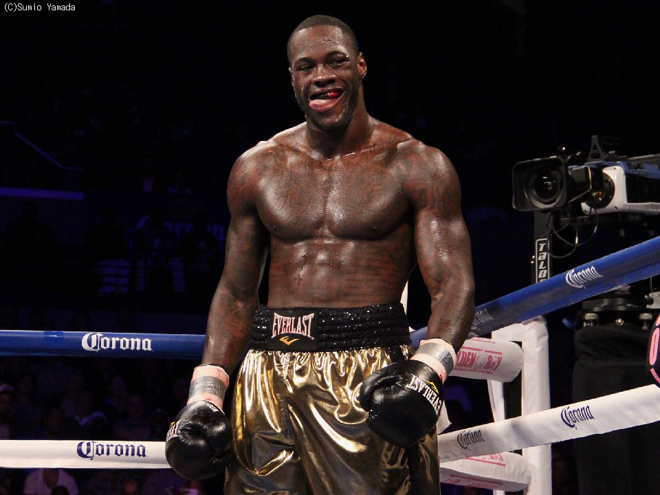 ��V�̓��C���_�[����������