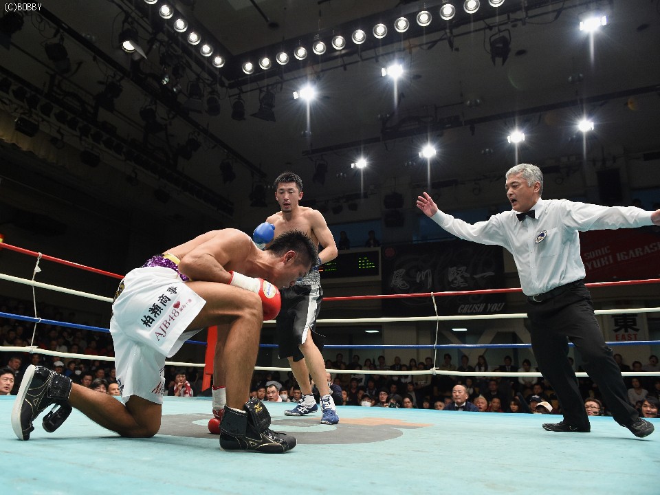 �Ђ��܂����쌴