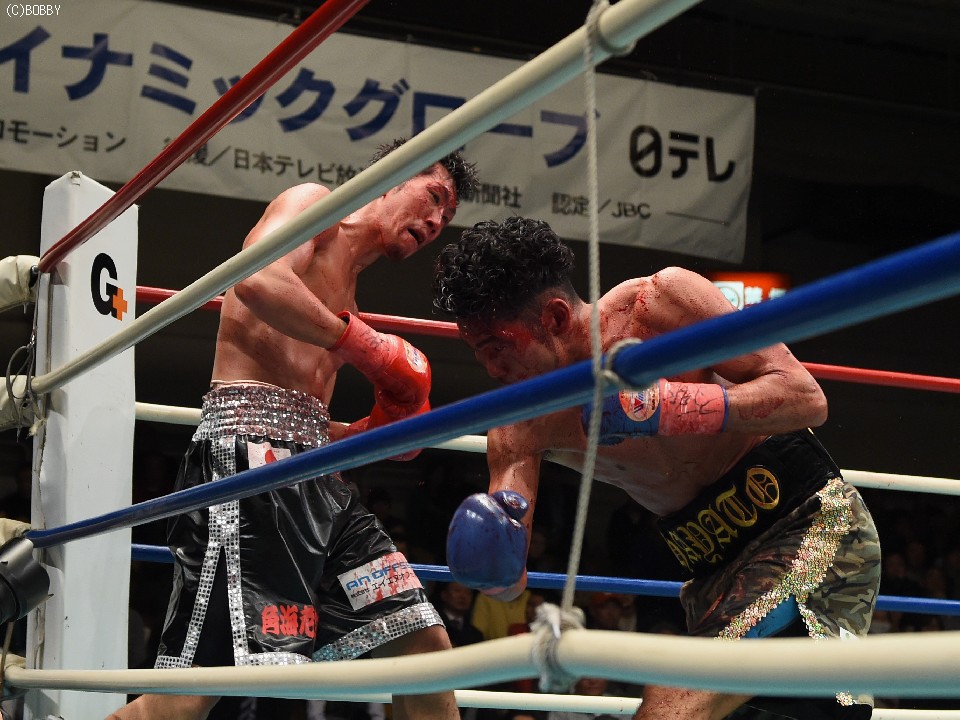 �g�p�̓��{SL������