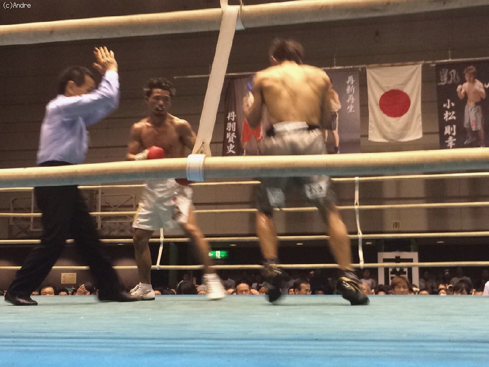 ���̉����D��