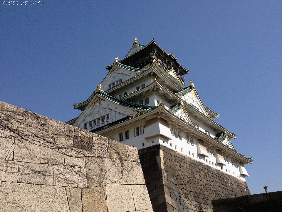 ���{�^�C�g�����̐w