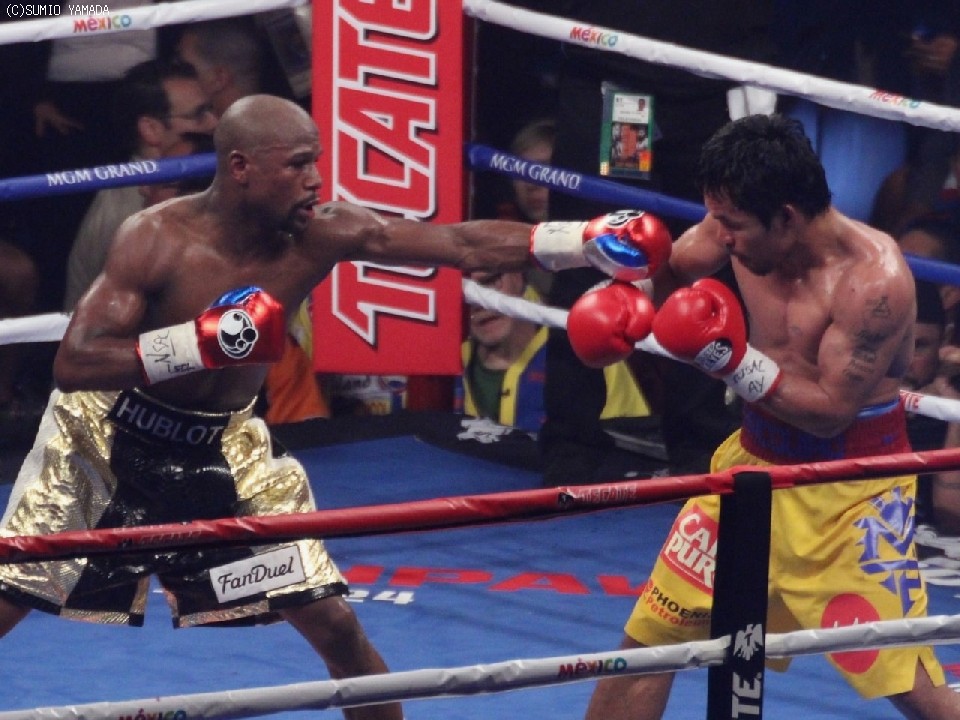 ���C�E�F�U�[ vs �p�b�L���I