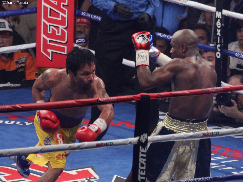 �}�j�[�E�p�b�L���I