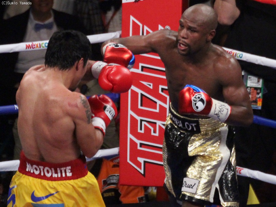 �t���C�h�E���C�E�F�U�[