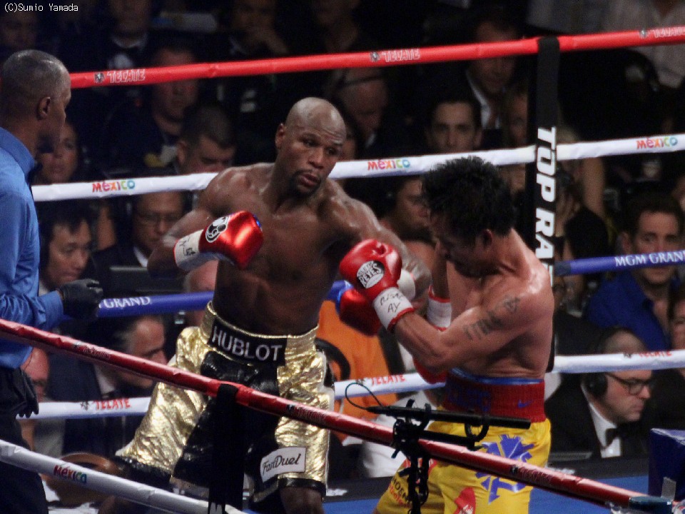 �t���C�h�E���C�E�F�U�[