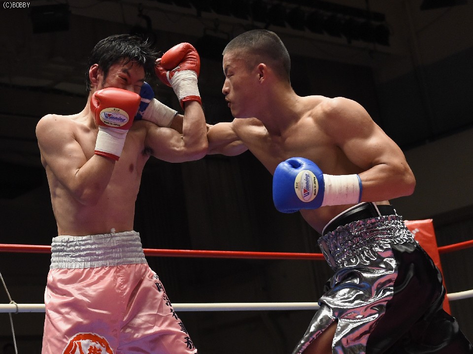 �U�ߍ��ޔ��J