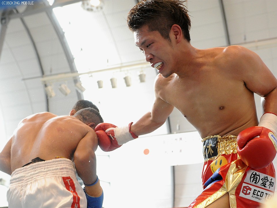 �ۖ؂̃��[�X���h�q��