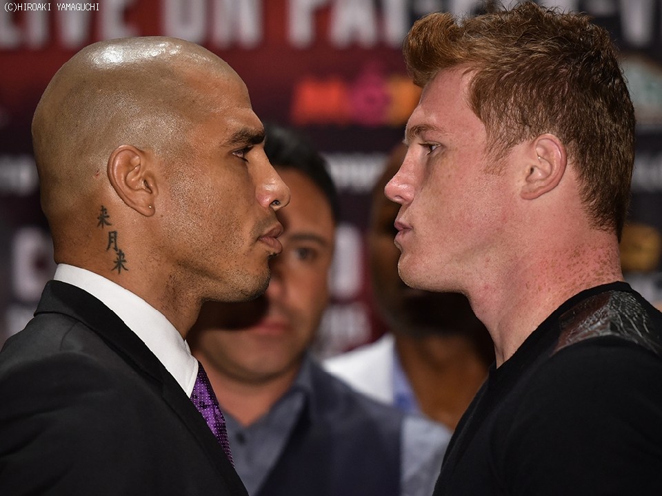 �R�b�gvs�J�l�� LA�ŉ