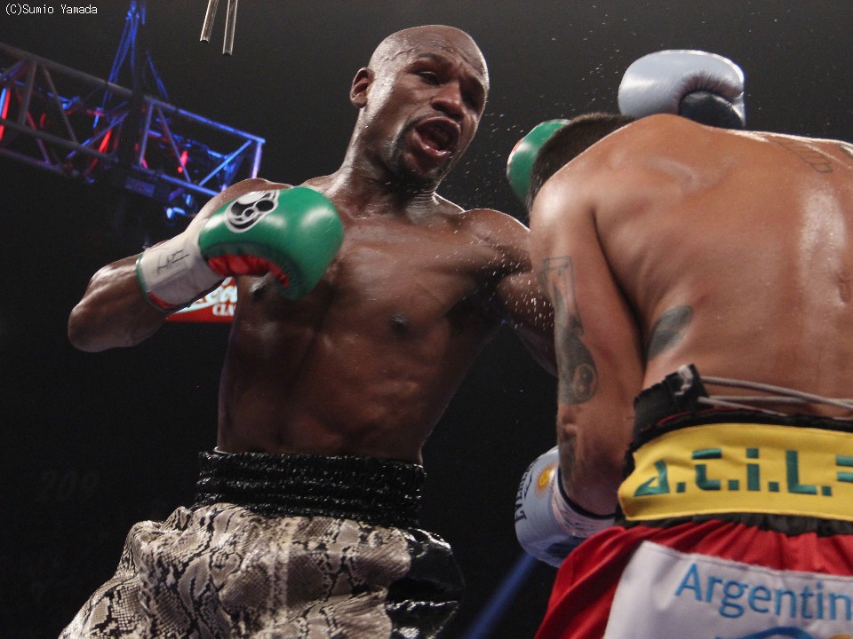 ���C�E�F�U�[��MGM����