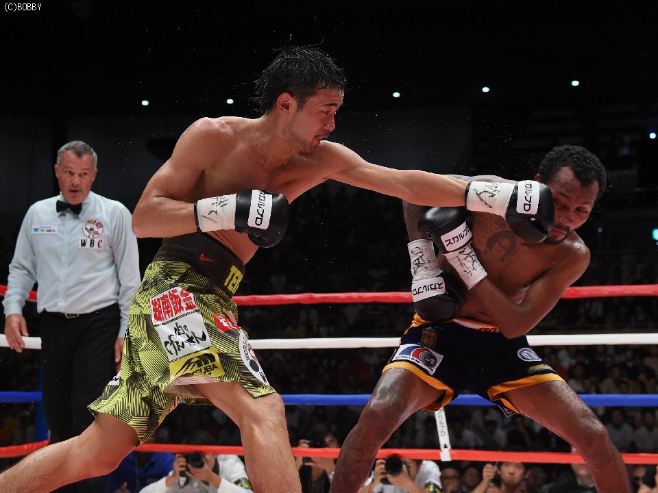 �R���̗H��ގ���!?