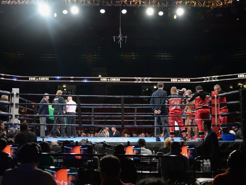 �͖����vs�T�c���B