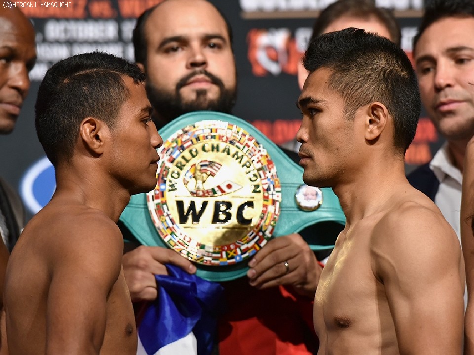 ゴンサレスvsビロリア