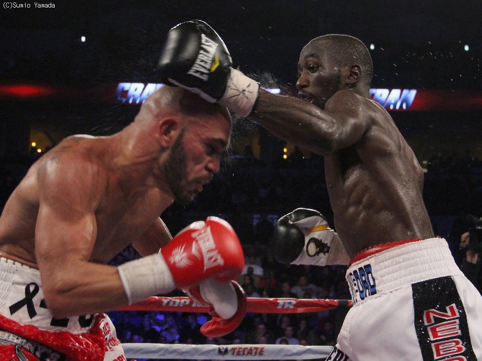 �W������̃N���t�H�[�h