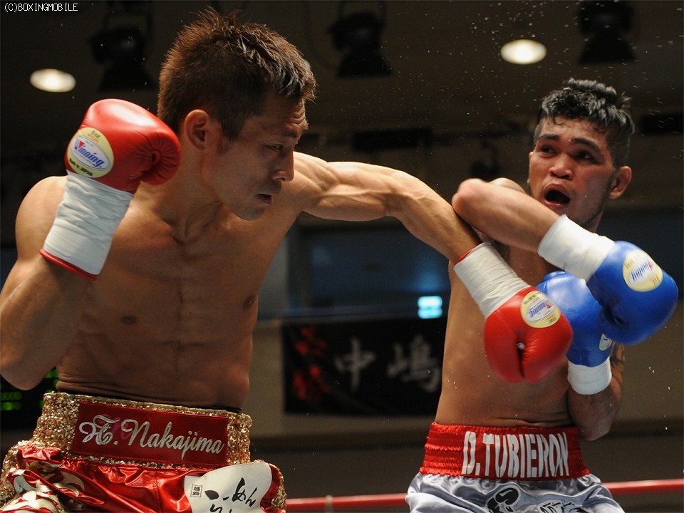 �g�D�r�G�����̃��t�t�@�C�g�Ɏ肱������